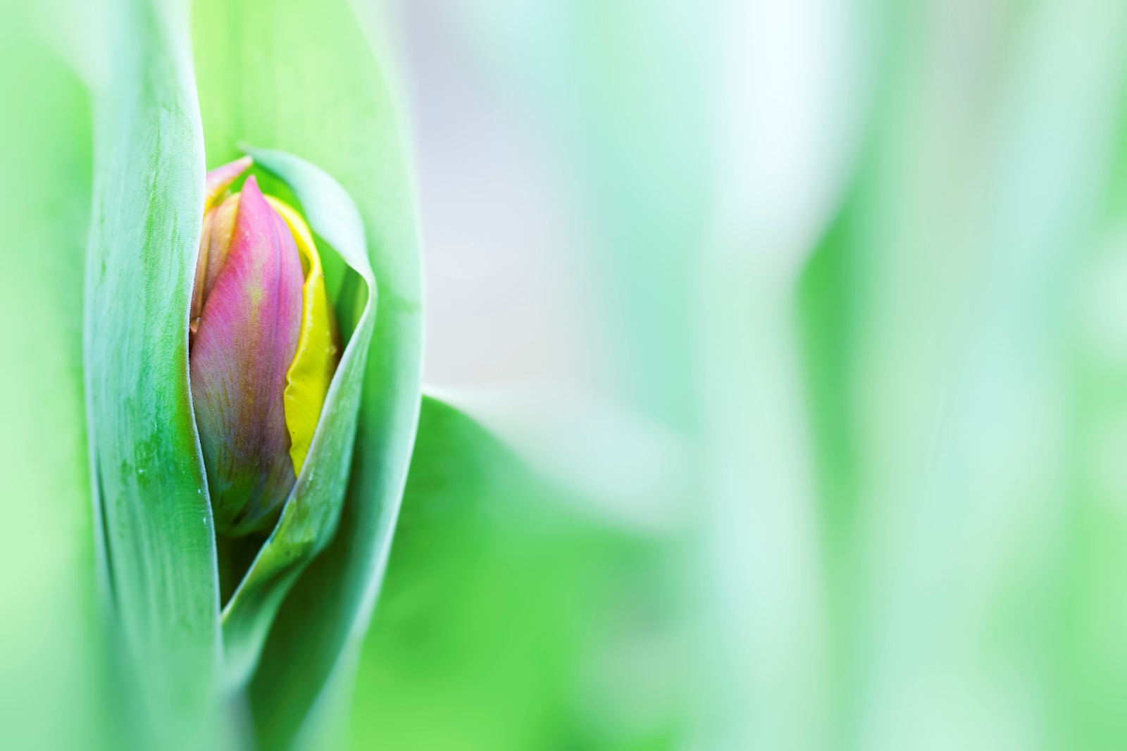 4. Platz Conny Kleiner